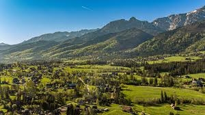 Działka na sprzedaż Kościelisko - oferta 107